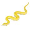 Decoration Flexible Eco-friendly Soft Animal Model Children Educational Toys Trimeresurus Stejnegeri