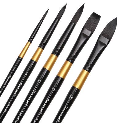Set di pennelli per acquerello Dainayw Capelli di scoiattolo Artista professionista Scopa per pittura per inchiostri per acquerelli a guazzo, 5 pezzi