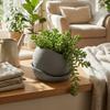 3D Printed Succulent Plant Pots with Drainage Holes Growing Pots  Air Plant Display