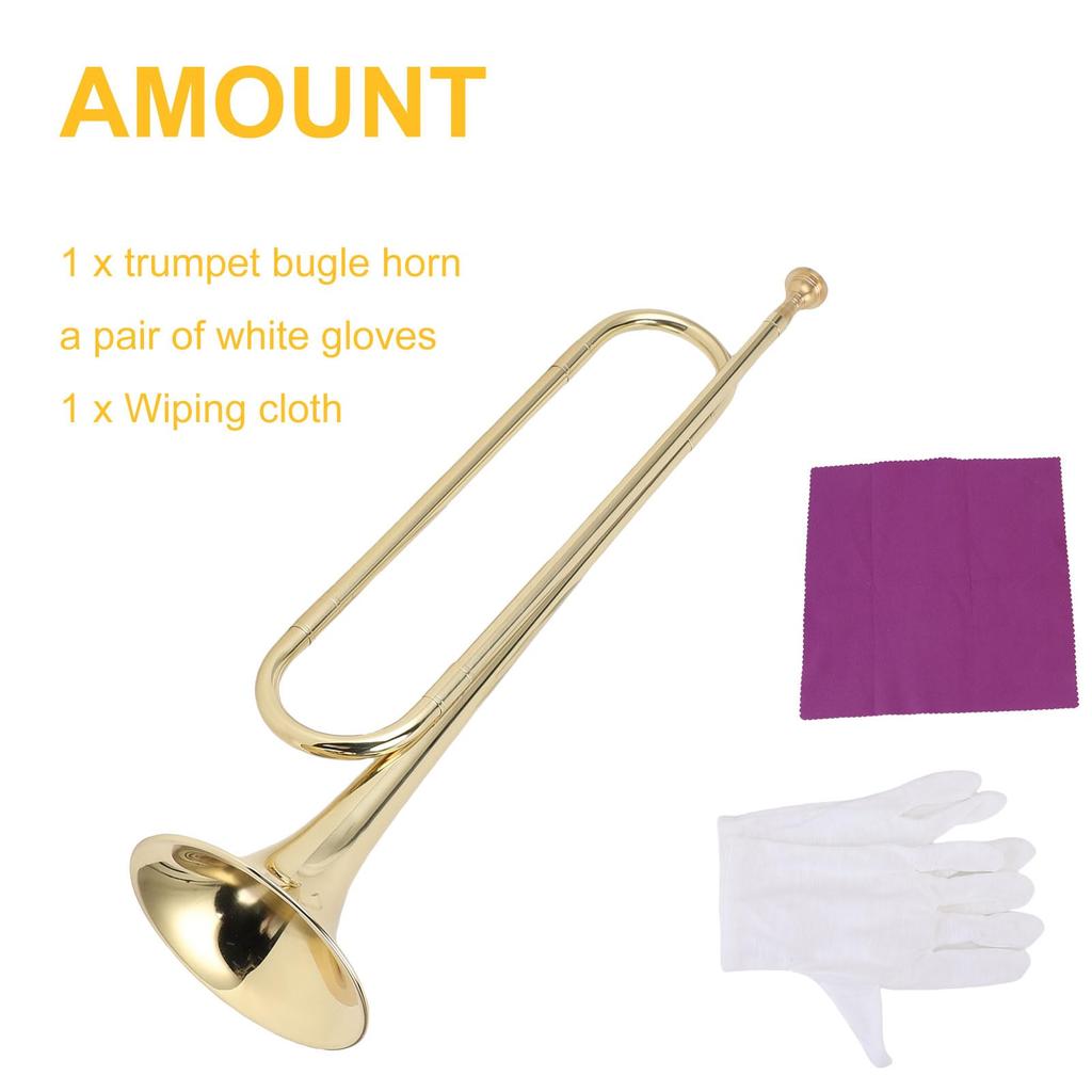 Btuty Trumpet for Beginners and Students, Brass Construction, Bright Tone, Large Bell Design, School Band Practice, Professional Orchestra Compatible,