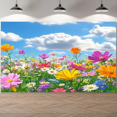 Fotoğraf Stüdyo Aksesuarları – Fotoğraf stüdyoları için arka planlar