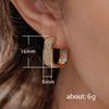 Miniature Zircon Ear Buckles, Young Women's Fashion Earrings, Jewelry, Earrings.