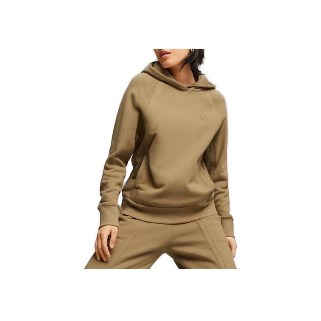Puma Solid Color Hooded Long Sleeve Casual Sweatshirt Women Sweatshirt Brown 621444-85