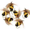 1/3 Stück Angelköder, künstliches Insekt, Hummel, Forelle, Fliegenfischen, Köder, bionischer Köder