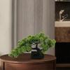Small Artificial Bonsai Pine Tree Simulation Potted Plants Desktop Display Tree for Windowsill Home Office Decoration Ornaments