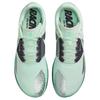 Nike Zoom Rival Waffle 6 Barely Green Green Glow Mint Foam Metallic Silver Sneakers casual DX7998-300