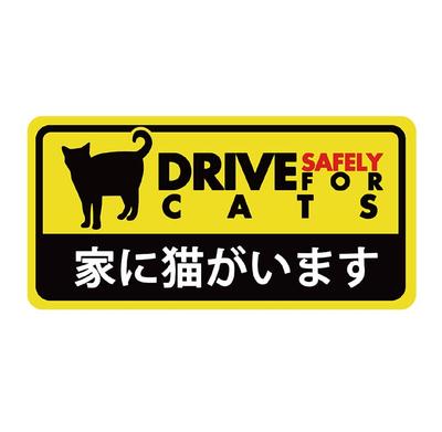 There Is a Cat In the House Dash Cam Style Safe Driving Magnetic Sticker Weather and Resistant