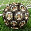 Fútbol – Pelotas de fútbol