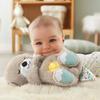 Fisher Price Oyasumi Raccoon Japan Genuine Product Sleep Aid Baby Toy From 0 Months GHL41