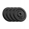 Cast Iron Weight Set 4x5Kg 20Kg Hole 31Mm Plate Classic Rebel