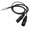 3,5mm auf Dual XLR Stecker Audiokabel 3,5mm Stereo Klein Drei-adrig auf 2 Xlr SteckerGutes Produkt