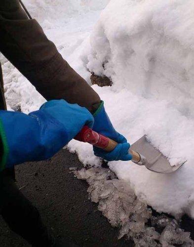 Showa Gloves - Temless Winter Gloves (5 pairs, fleece-lined) (035-282, LL)