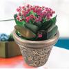 Antique Flower Pot with Vine Design, for Living Room and Patio
