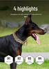 Heavy-Duty Dog Leash and Collar for Medium and Large Dogs