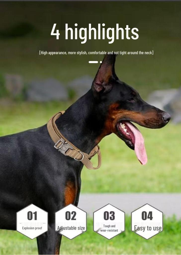 Heavy-Duty Dog Leash and Collar for Medium and Large Dogs