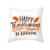 Autumn Harvest Thanksgiving Cushion Cover New Arrival Turkey Pumpkin Peach Skin Printed Cushion