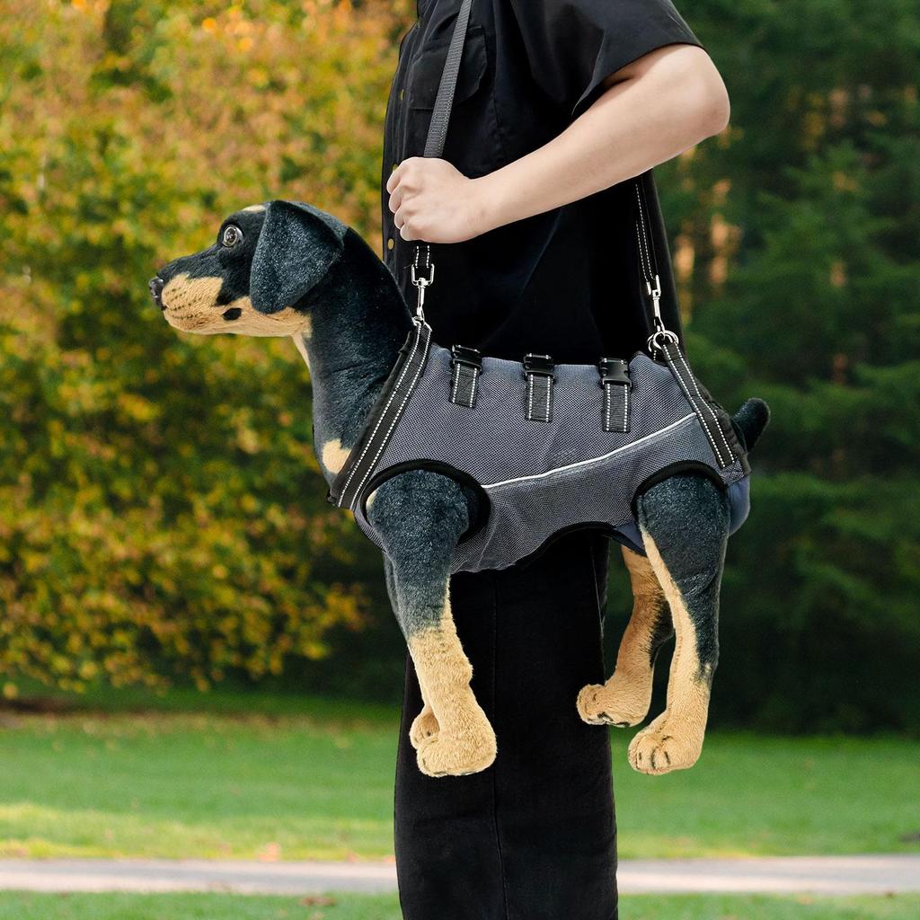 Imbragatura di supporto regolabile per cani anziani con problemi alle articolazioni