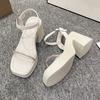Fashion Fashion Design Sandals Women Thick Heel Casual Ladies Open Toe Shoes Sexy Party Sandal Ankle Strap 2025 Summer Mujer