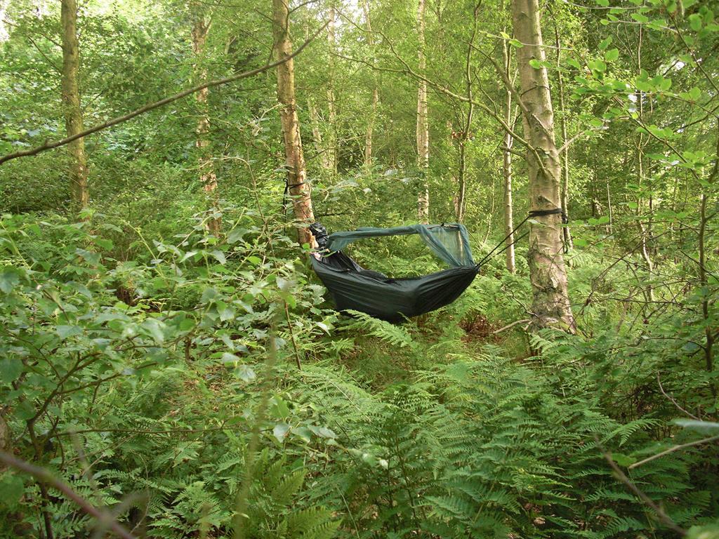 DD Hammocks DD Frontline Hammock Authentic Japanese Product (Olive Green)