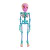 Skeleton Fridge Magnets with Movable Joints Poseable Magnetic Skeleton Figurine for Kitchen Home Halloween Decoration