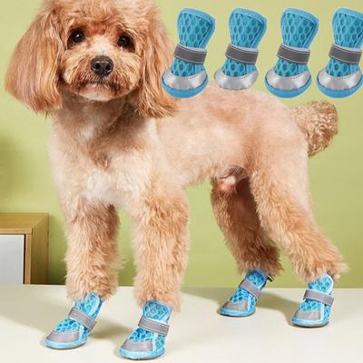 Oblečky a obuv – Obuv pro psy
