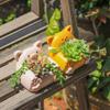 Animal Sofa Small Plant Pot Resin Succulent Planter for Home Office Desk Mini Ornament Fairy Garden Flowerpot Decoration