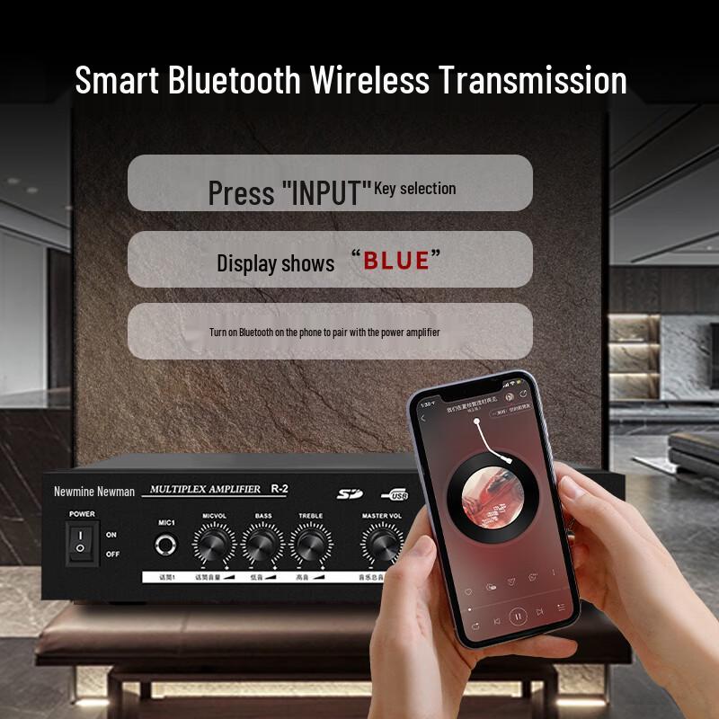 Newmine R15 Bluetooth Ceiling Speaker System CN plug (adapter included)