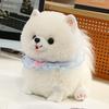 25/35cm Simulation Cute Pomeranian Doll Stuffed Plush Toy Handmade Doll Cartoon Anime Cute Pillow Children's Birthday Gift Doll