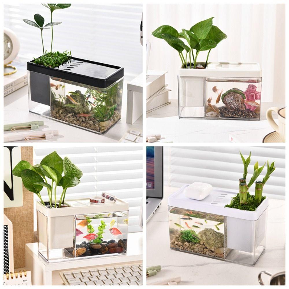 Plastic Amphibious Ecological Tank Small Goldfish Bowl Tabletop Tank Fish Tank  Office