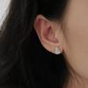 Dragon Scale Gourd Crushed Ice Earrings: Dazzling Fu Lu Studs for Women, Versatile High-End Jewelry Accessories.