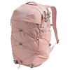 THE NORTH FACE Borealis 27L Outdoor Bags Recycled Nylon Pink Moss & Silver Metallic Women's NF0A81E7-BHI