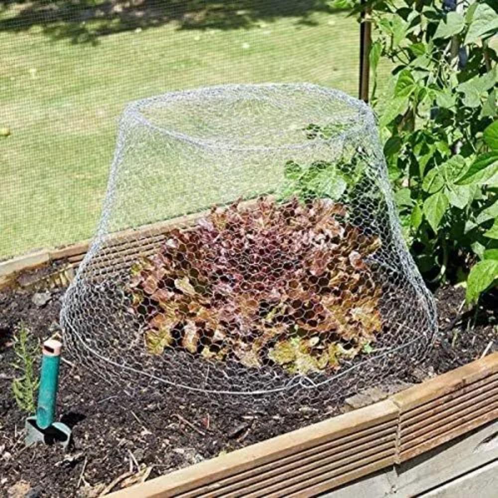 Galvanised Chicken Wire Mesh Hexagonal Pet Wire Netting Rabbit Fencing  for Plants Protection