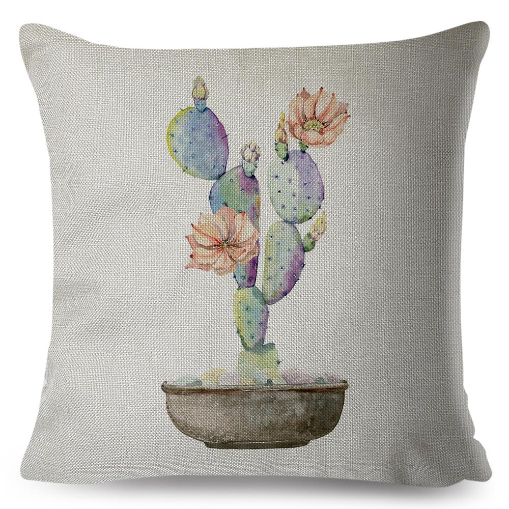 Cute Succulent Plant Cushion Covers Set Watercolor Potted Cactus In Cup Box Design Soft Pillow Home Decor Xcm