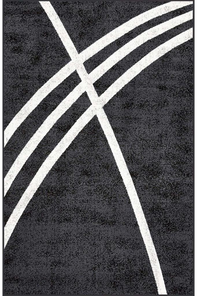 Eliana Home Washable Printed Carpet LNA1406