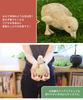 Duck Bird Garden Decorative Cute Set of 2 for Ornament, Figurine, Item, White, (Perfect Children)