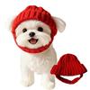 Abbigliamento e scarpe – Cappelli per cani