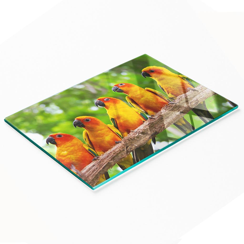 Kitchen Multifunctional Decorative Tempered Glass Board Parrot Branch 80X52 Cm
