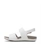 Rockport Ridge Ii Qtr Multi (Cj1371)