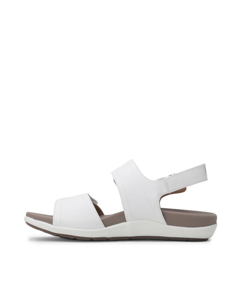Rockport Ridge Ii Qtr Multi (Cj1371)