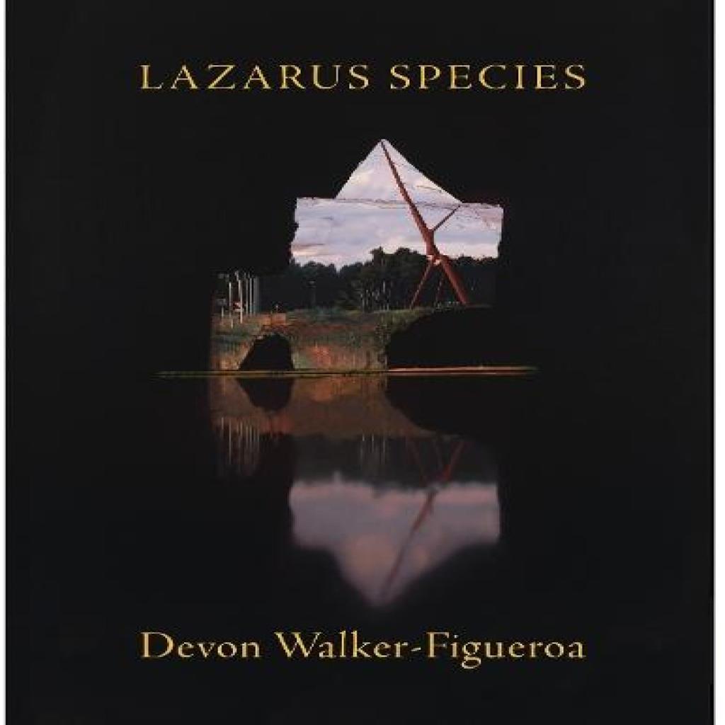Lazarus Species by Devon WalkerFigueroa Paperback Book 9781571315779