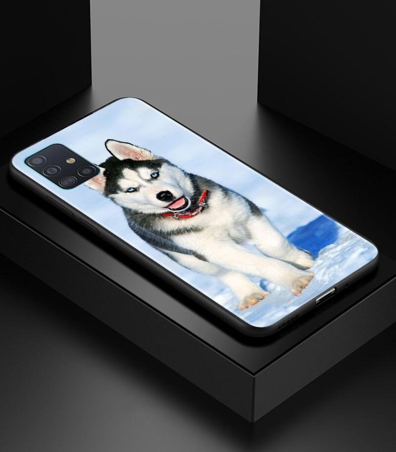 Alaskan Husky Dog Cute Puppy Phone Case for Samsung Galaxy A51 A71 A21S A12 A11 A31 A52 A41 A32 A72 A02S A01 5G Silicon Cover