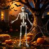 Model člověka v životní velikosti 165 cm Kostra rekvizita v životní velikosti pro Halloween Realistická polohovatelná celotělová velikostní dvorní s nastavitelnými klouby Strašidelný dům