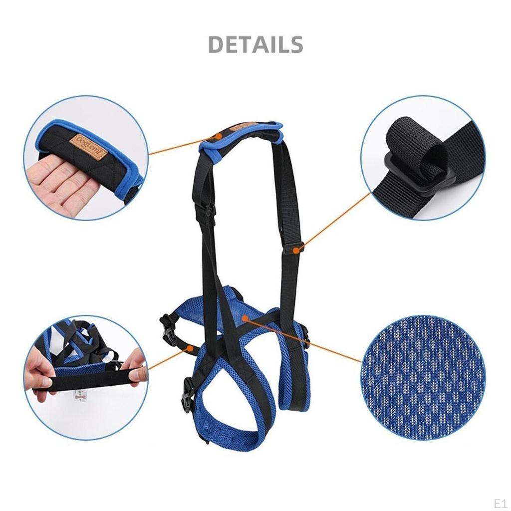 Dog Lift Harness Auxiliary Belt for Back Legs Walk Resistant Lifting Support Pets Assist
