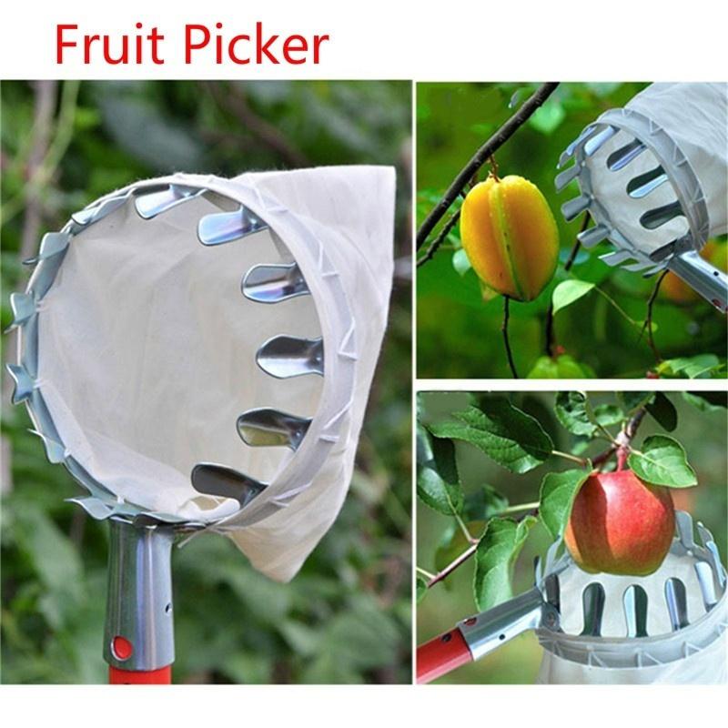 Fruit Picker Convenient Horticultural Fruit Picker Extract Pulldownandbrea Gardening Fruit Picker