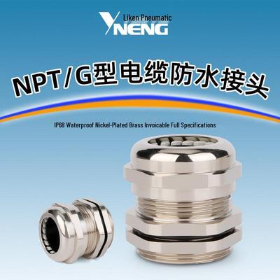 Connettore Impermeabile per Cavo IP68 in Ottone Nichelato, Testa Pressacavo in Metallo, Tipo NPT/G, Dado di Bloccaggio Sigillante NPT 3/4