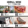 Weber iGrill Mini 7206 Thermometer Smart Device for BBQ Stoves (Red) [2-Year Warranty]