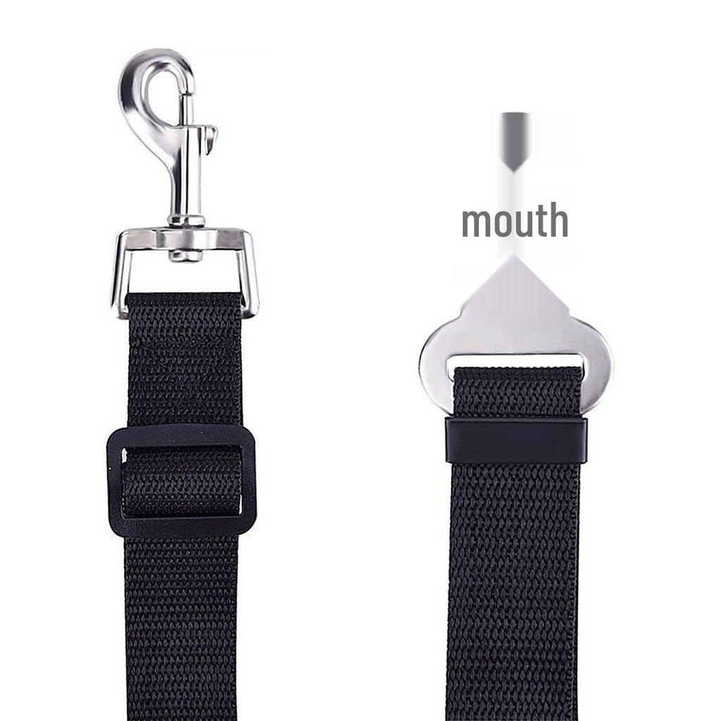 Haustier Autosicherheitsgurt & Matte für Rücksitzbenutzung