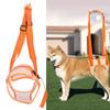 Lightweight Build Dog Lift Harness Breathable Mesh Dog Support Strap  Injury Assistance