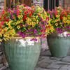 Yousheng 7 Stems Artificial Violets Flowers Faux Silk Violets Bouquet UV Resistant Outdoor Fake Bloom for Vase Home Garden Wedding Decor