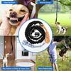 Pet Rope Toy Door Tug Rope Chewing Toy for Dog Aggressive Chewer Teeth Clean Indoor Exercise Rope Interaction Indoor Toy